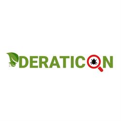 DERATICON SRL, Huşi