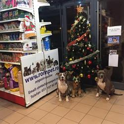 ROM PET CONCEPT INTERNATIONAL SRL, Bucureşti