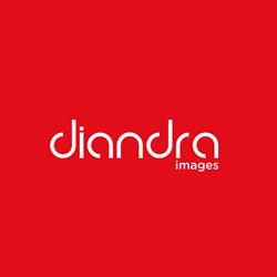 Diandra Images, Şimleu Silvaniei