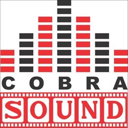 COBRA SOUND SRL, Făgăraş
