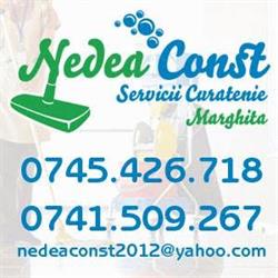 NEDEA CONST SRL, Marghita