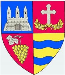 CONSILIUL JUDEŢEAN ARAD, Arad