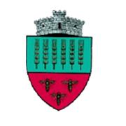 PRIMĂRIA GRĂNICEŞTI, Grăniceşti