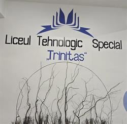 LICEUL TEHNOLOGIC SPECIAL TRINITAS, Târgu Frumos