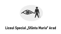 LICEUL SPECIAL SFÂNTA MARIA, Arad