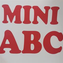 MINI A.B.C.BARNABAS SRL, Arad