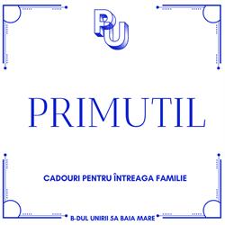 PRIMUTIL SRL, Baia Mare