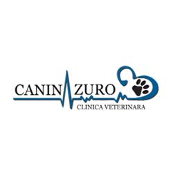 CANIN AZURO PROCOM SRL, Bucureşti