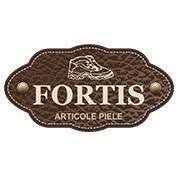 FORTIS COM SRL, Mediaş