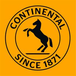 SC Continental Automotive Products SRL, Timişoara