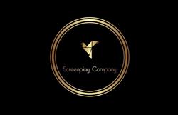 SCREENPLAY COMPANY SRL, Timişoara