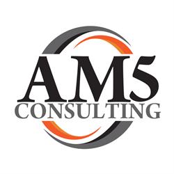 AM 5 CONSULTING IMPEX SRL, Bucureşti