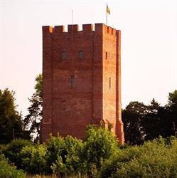 Primaria Ciacova