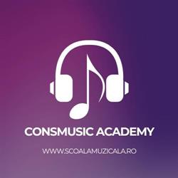 CONSMUSIC SRL, Brăila