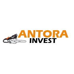 ANTORA INVEST SRL, Reghin
