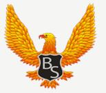 Bronic Security S.r.l, Bucureşti