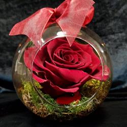FLORARIA HEAVEN ,SC HEAVEN BLOOMSHOP, Bucureşti