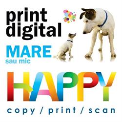 HAPPY DAY SRL, Roman