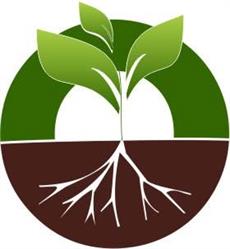 ECO TERRA SRL, Gura Humorului