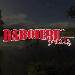 BABOIERU COM SRL, Bucureşti