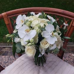 NEW BEGINNING EVENTS SRL, Bucureşti