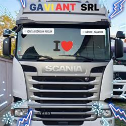 GAVIANT SRL, Târgovişte