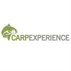 CARPEXPERIENCE SRL, Baia Mare