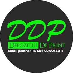 DEPOZITUL DE PRINT SRL, Paşcani