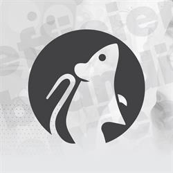 Mouse Media Sevices - Agentie de Branding, Piatra-Neamţ
