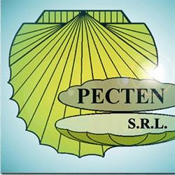 Pecten S.r.l, Oradea