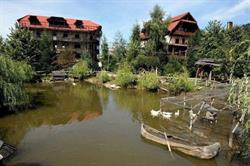 Pensiunea Perla Maramuresului, Borşa
