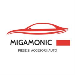 Migamonic Group SRL - Piese auto, Târgu Jiu