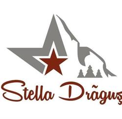 STELLA DRĂGUŞ, Drăguş