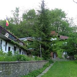 TATA LICE, Chiojdu