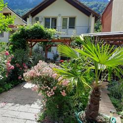 Pensiunea Eden, Băile Herculane