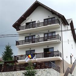 AVALANCHE, Novaci