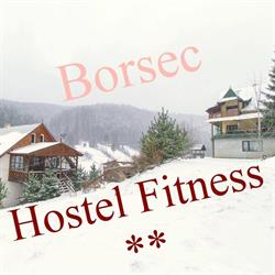 Vila Fitness, Borsec