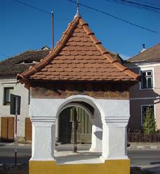 NICOLETA, Sălişte