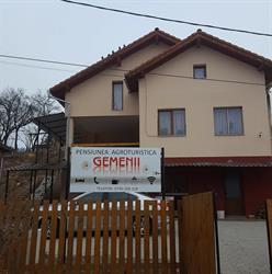 GEMENII, Hida