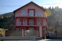 FLOARE DE BUCOVINA, Bucşoaia