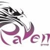 RAVEN ACCOUNTING SRL, Lugoj