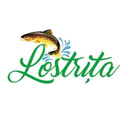 Lostriţa, Baia Mare