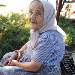 AKADEMOS, Arad