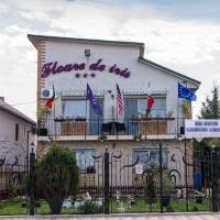 FLOARE DE IRIS, Vama Veche