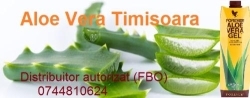 Aloe Vera Timisoara