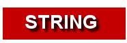 String SRL Buzau