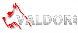 Valdor SRL, Ploieşti