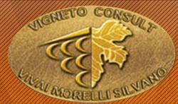Vigneto Consult SRL, Arad