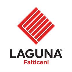 Laguna Falticeni
