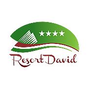 Pensiune RESORT DAVID Rucar